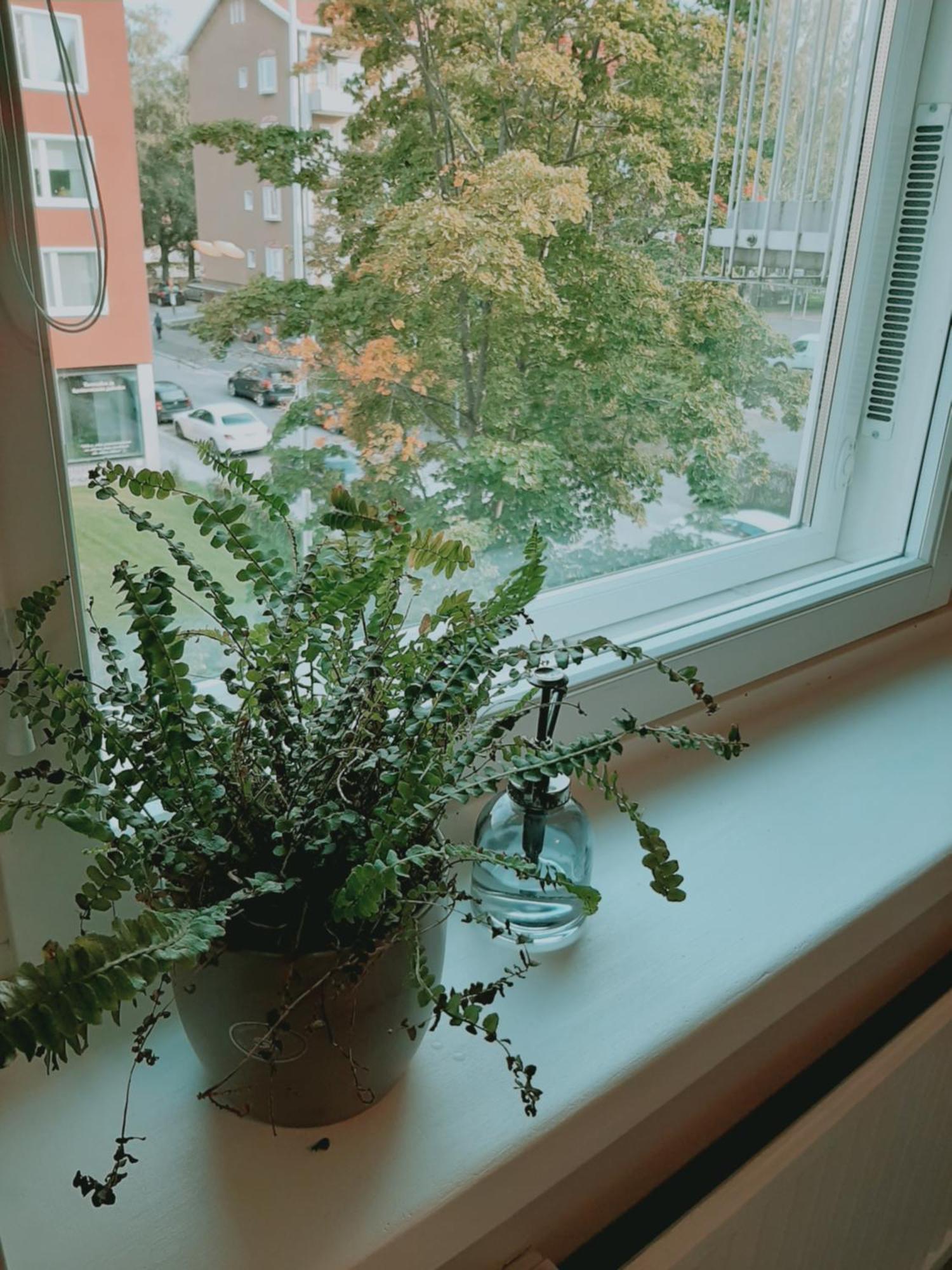 Kaski, Three-room In A Prime Location, Free Parking Tampere